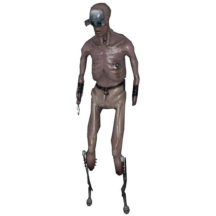 Stalker HL2 AI Voice