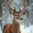Rindeer