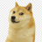 Doggyfront