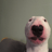 mrmemedog123