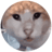 fancody