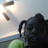 alvin1234