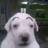Noot0x