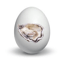 OysterEgg