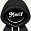 MerlfAnimations