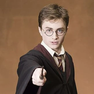 Harry Potter (1)