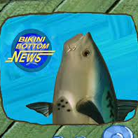 Fish News Anchor