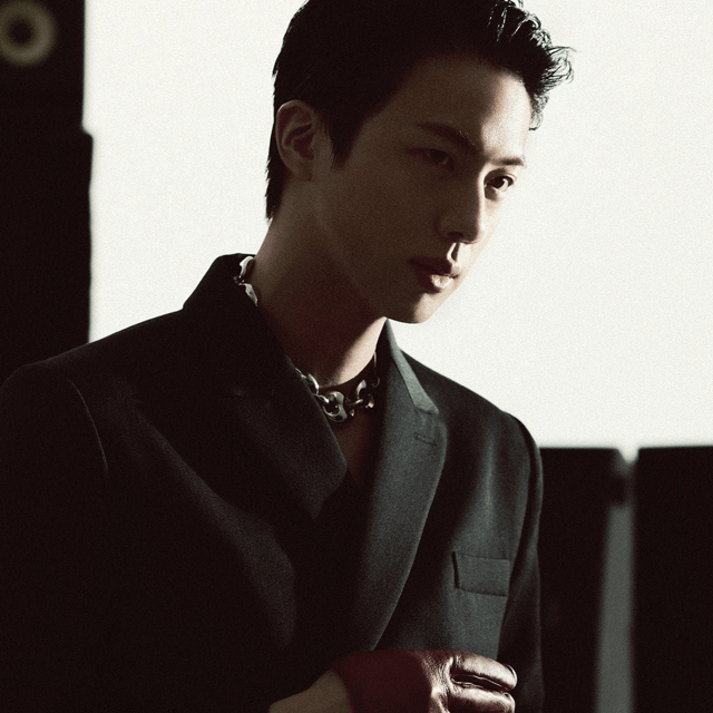 Jin of BTS ( Kim Seokjin )