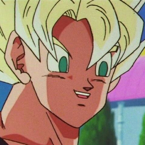 DBZ - San goku - Patrick borg