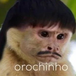 Orochinho AI