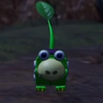 Gogist the Wise