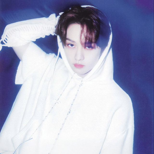 SKZ Leeknow