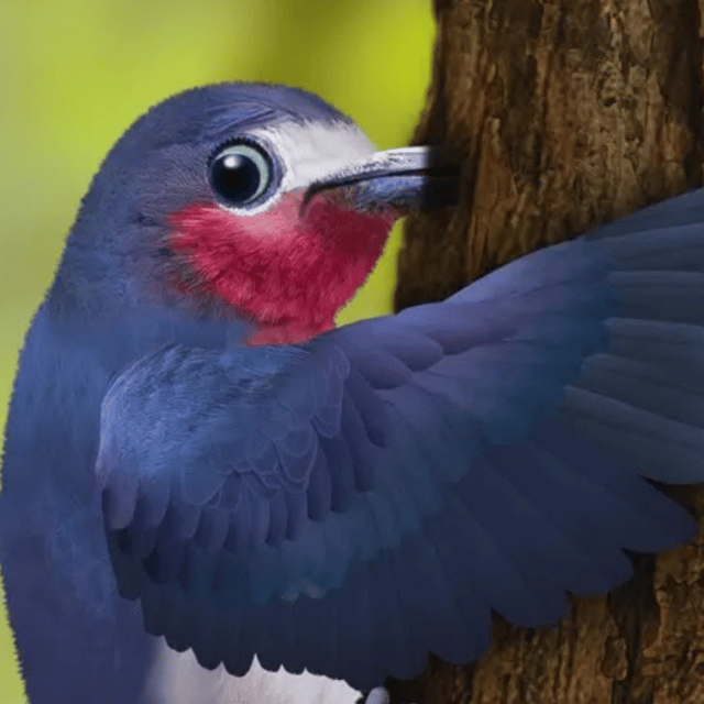 AI Woodpecker (Wonder Pets: In The City)