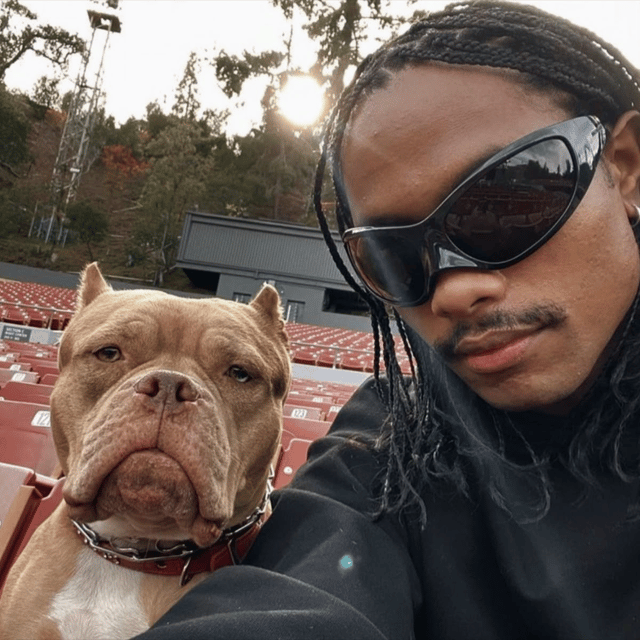 Steve Lacy (Gemini Rights) 2022 era