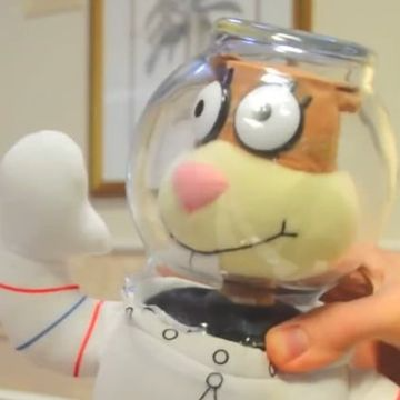 Sandy Cheeks (FCCD)