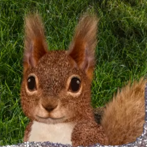 Red Squirrel (Wonder Pets: In The City)