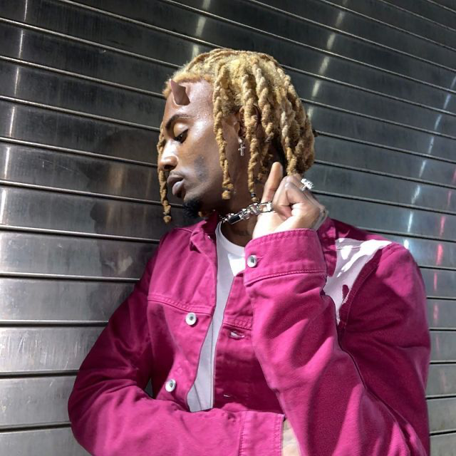 Playboi Carti WLR V2 (BEST VERSION)