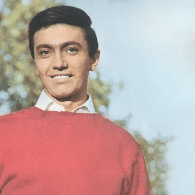 Rex Gildo 60s