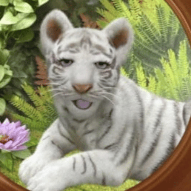The Bengal Tiger (Wonder Pets)