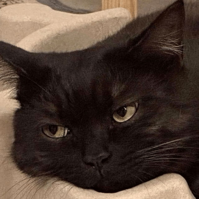 DO HOANG HIEP