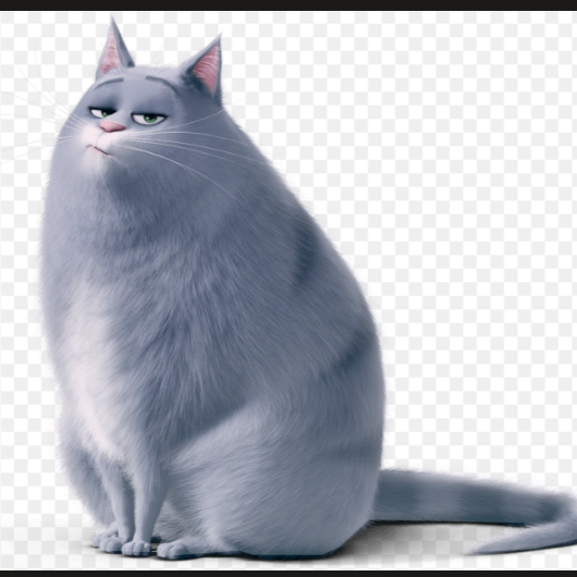 Chloe (The Secret Life Of Pets)