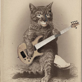 SpawnMC profile picture