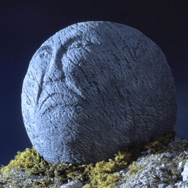 skar3744 profile picture