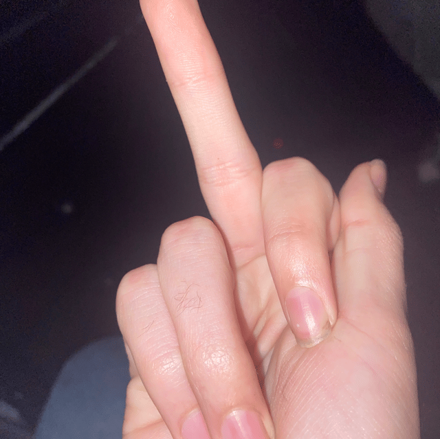 MonkeyJr2 profile picture