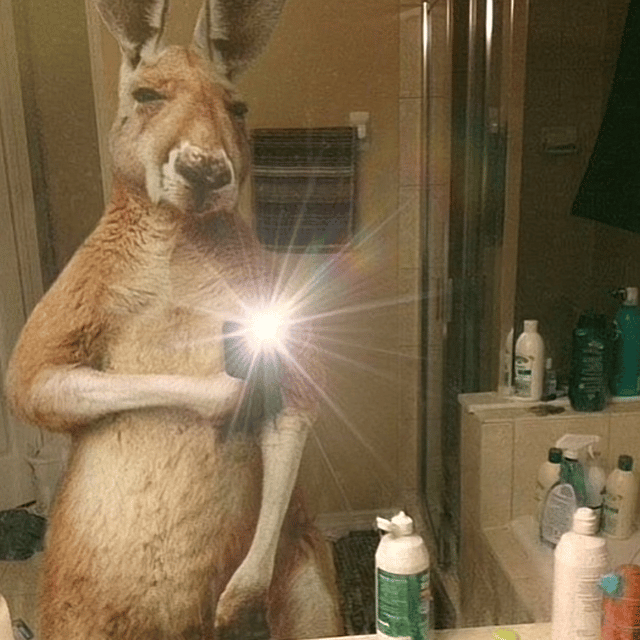 ManuelGracia profile picture