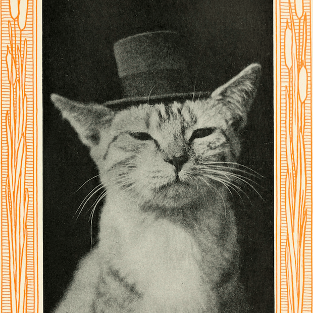 buttsmcgee profile picture