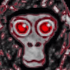 PBBVISWATCHINGPBBVISHERE profile picture