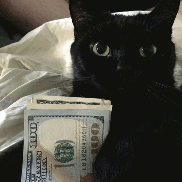 Phencen profile picture