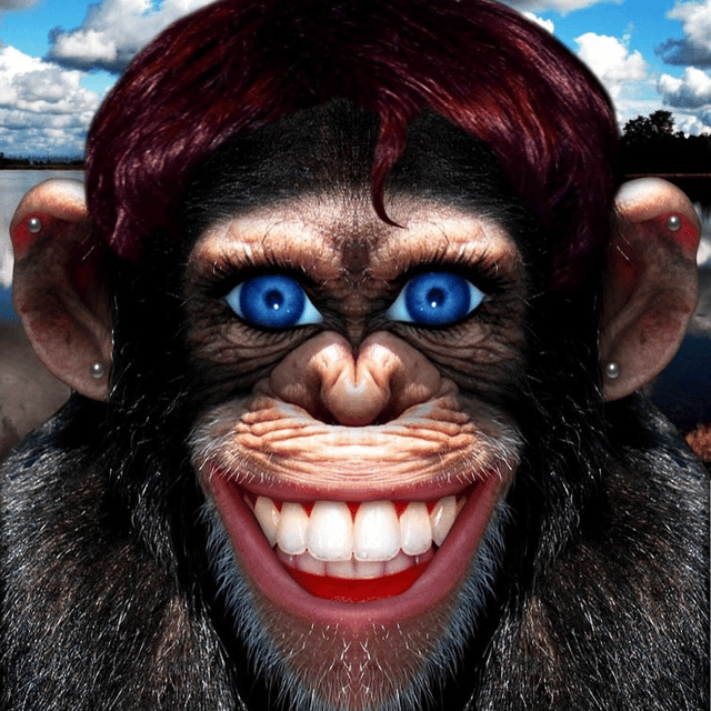 The Junker-Rat profile picture