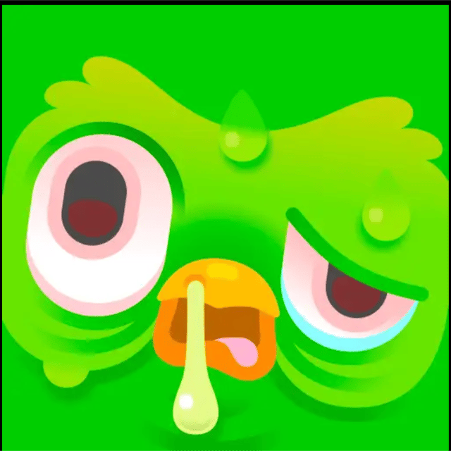 duolingustical profile picture