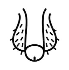 ParOcazz profile picture