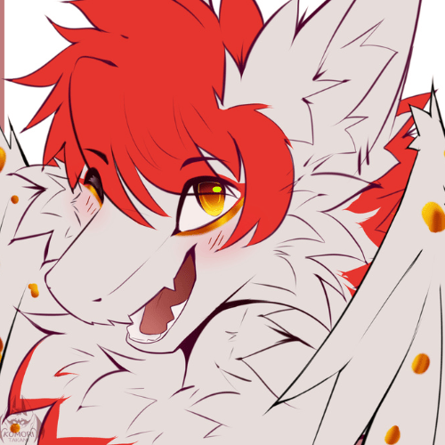 Nekoria profile picture