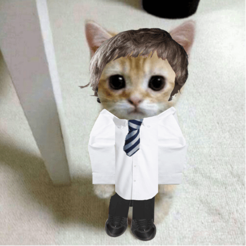 cred profile picture