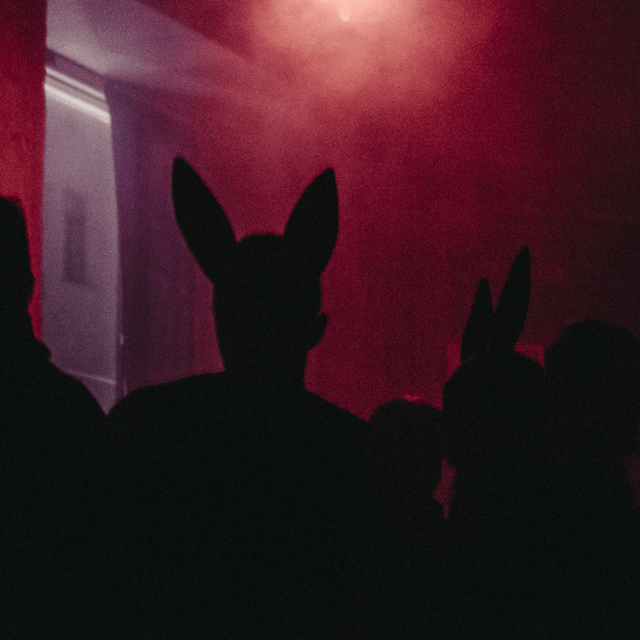 Nicky Meadow profile picture