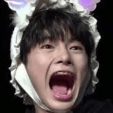 toecheese profile picture