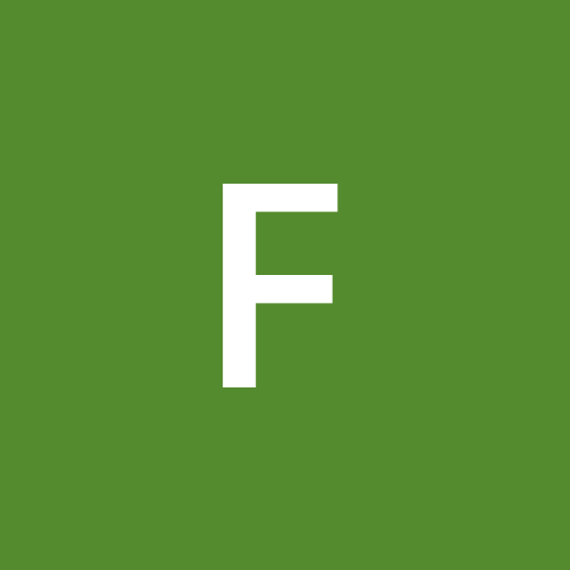 FeliIida profile picture