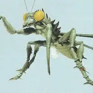 Kamacuras 2004 Image