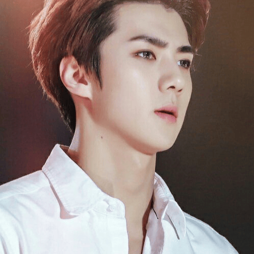 Oh Sehun from EXO Image