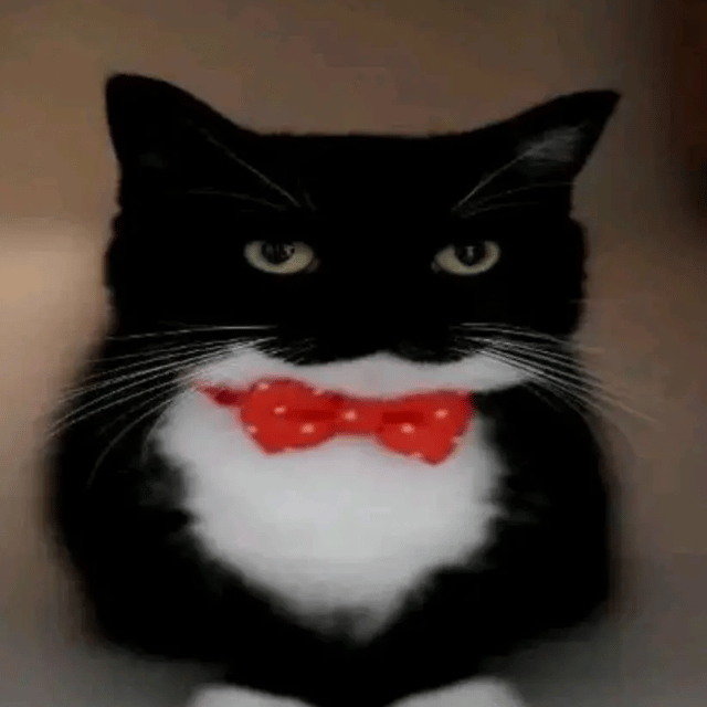 MOTFD Image
