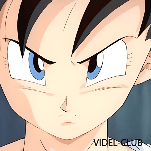 New Videl Satan (English Dub) Image