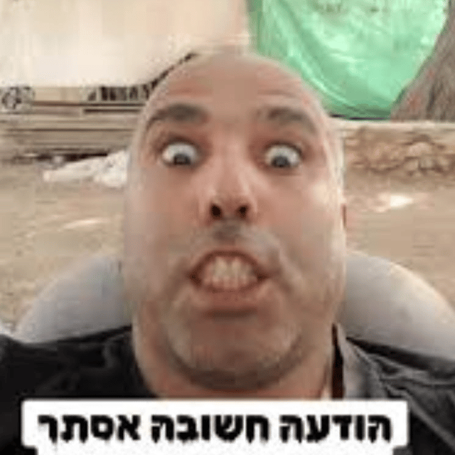 Voice AI Voice