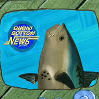 Fish News Anchor Image