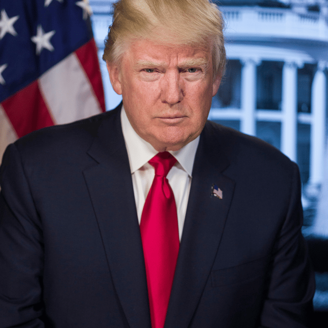 Donald Trump (Great Quality) Image