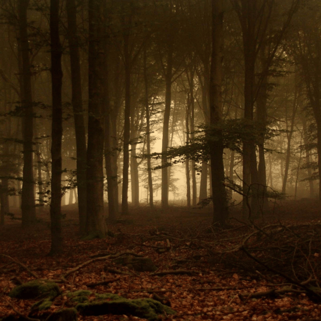 david lee roth  AI Voice