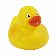Squeaky duck Image