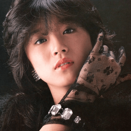 Akina Nakamori Image